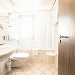Traube Ruedesheim Otel 4*