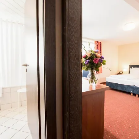 Traube Ruedesheim 4* 吕德斯海姆