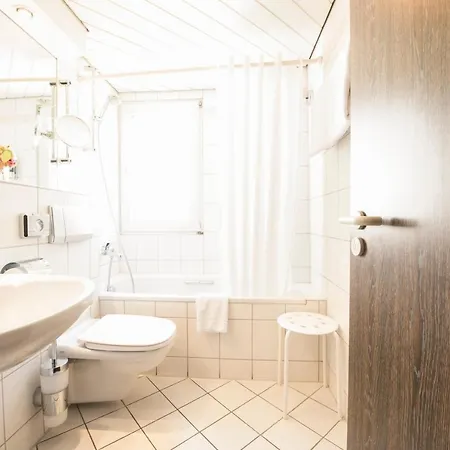 Traube Ruedesheim Hotel 4*