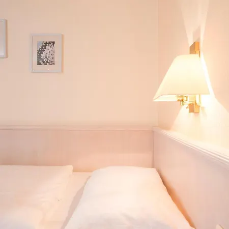 فندق Traube Ruedesheim 4*