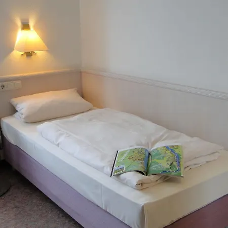 Traube Ruedesheim 酒店