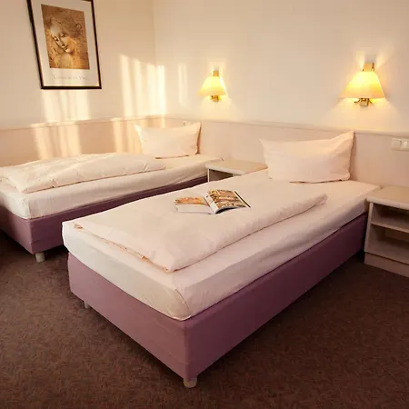 Traube Ruedesheim Hotel 4*