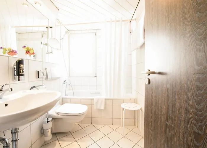 Traube Ruedesheim Hotel 4*