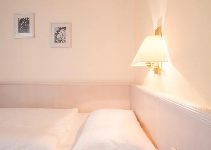 Hotel Traube Ruedesheim 4*